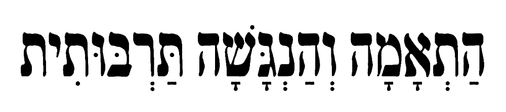 התאמה והנגשה תרבותית
