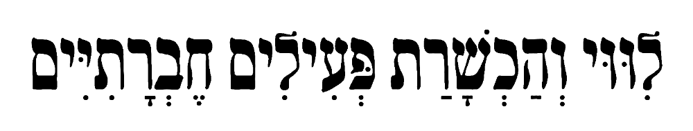 ליווי והכשרת פעילים חברתיים